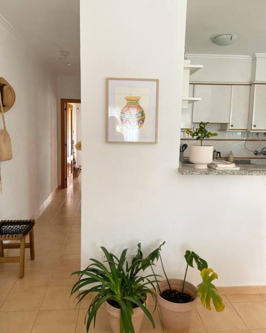 Apartamento Mediterraneo Entre Vinedos Jesus Pobre Exterior photo